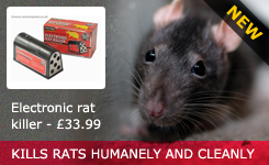 Electronic rat killer - 33.99 