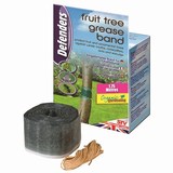 Fruit Tree Grease Band